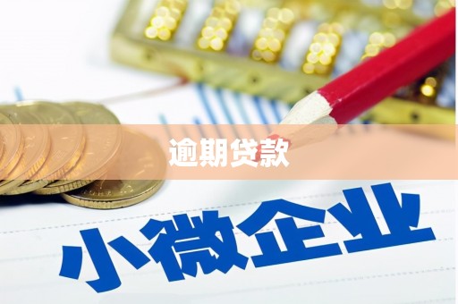 海盐逾期贷款