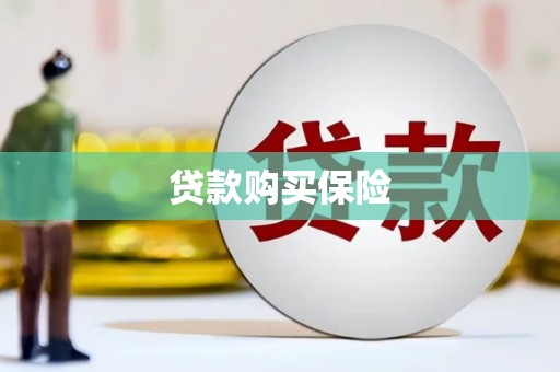 海盐贷款购买保险