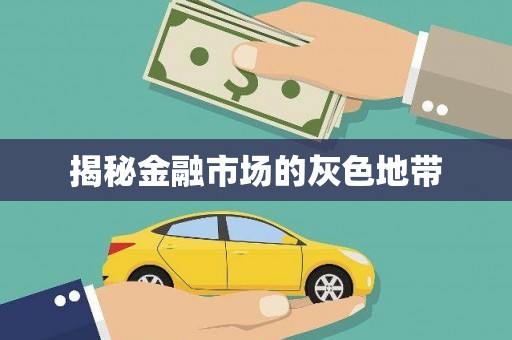 海盐揭秘金融市场的灰色地带