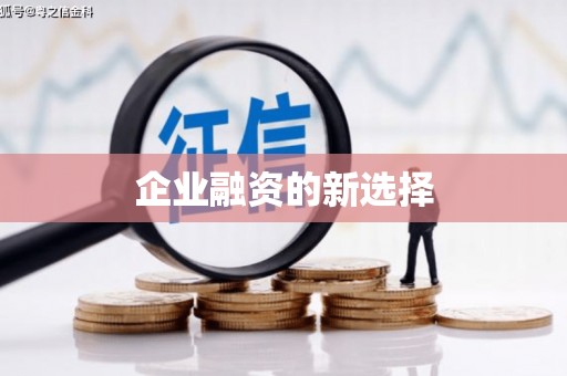 海盐企业融资的新选择