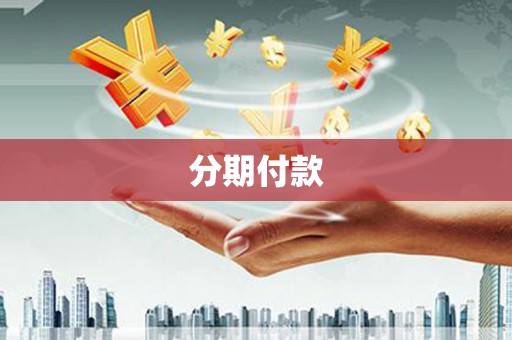海盐分期付款