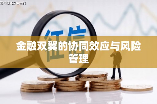 海盐金融双翼的协同效应与风险管理