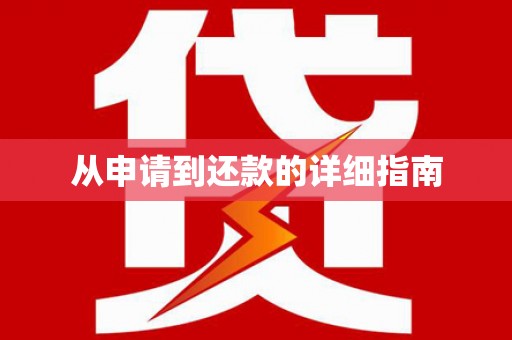 海盐从申请到还款的详细指南
