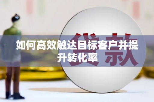海盐如何高效触达目标客户并提升转化率