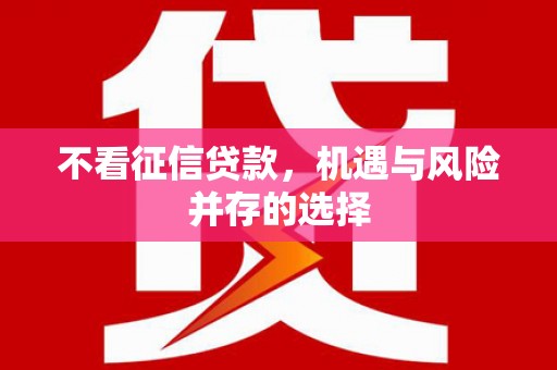 海盐不看征信贷款，机遇与风险并存的选择