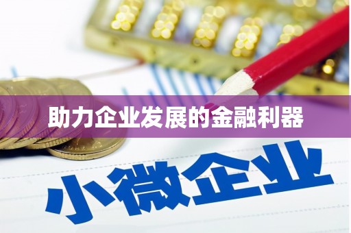 海盐助力企业发展的金融利器
