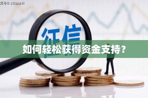 海盐如何轻松获得资金支持？