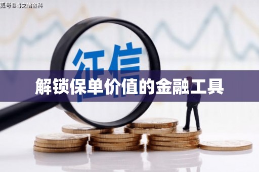 海盐解锁保单价值的金融工具