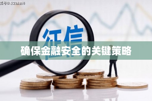 海盐确保金融安全的关键策略