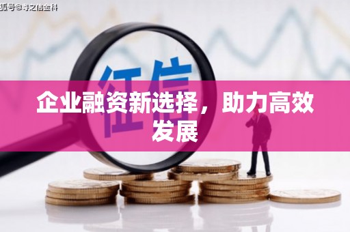 海盐企业融资新选择，助力高效发展