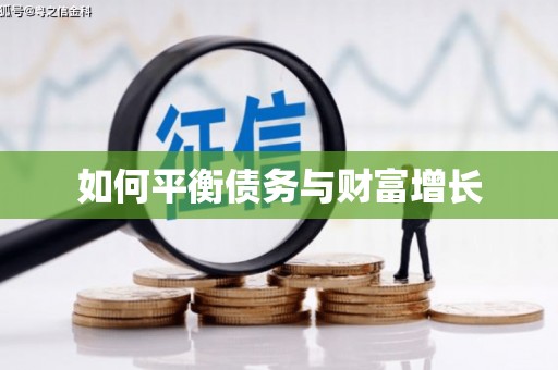 海盐如何平衡债务与财富增长