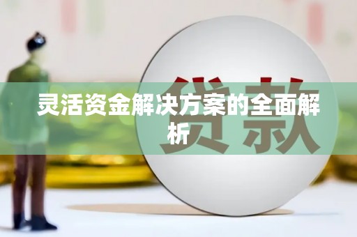 海盐灵活资金解决方案的全面解析