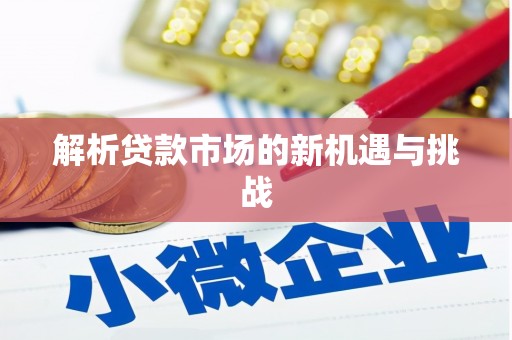 海盐解析贷款市场的新机遇与挑战