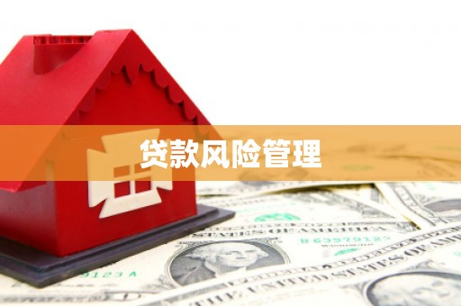 海盐贷款风险管理