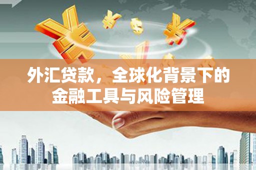 海盐外汇贷款，全球化背景下的金融工具与风险管理