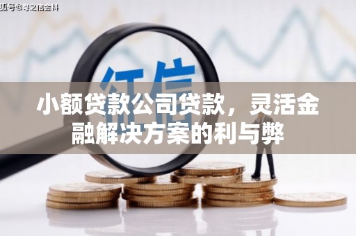 海盐小额贷款公司贷款，灵活金融解决方案的利与弊