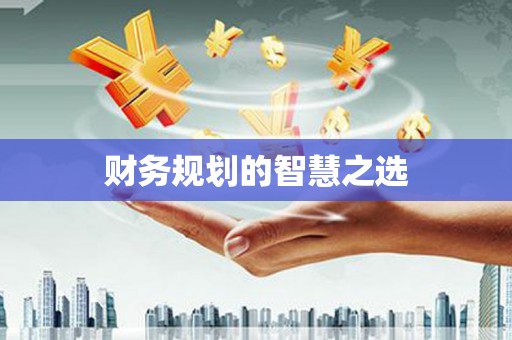 海盐财务规划的智慧之选