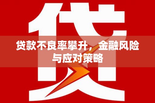 海盐贷款不良率攀升，金融风险与应对策略