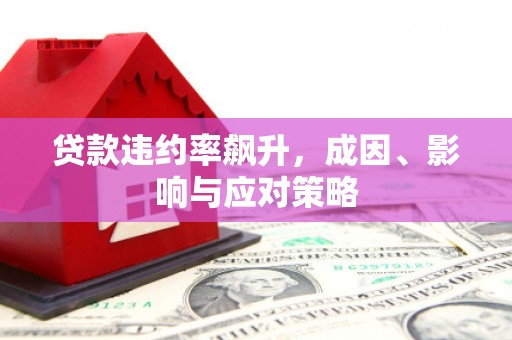 海盐贷款违约率飙升，成因、影响与应对策略