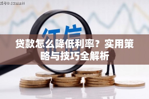 海盐贷款怎么降低利率？实用策略与技巧全解析