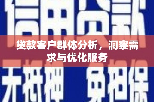 海盐贷款客户群体分析，洞察需求与优化服务