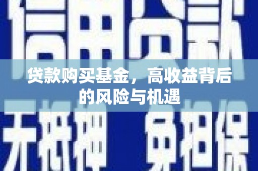 海盐贷款购买基金，高收益背后的风险与机遇